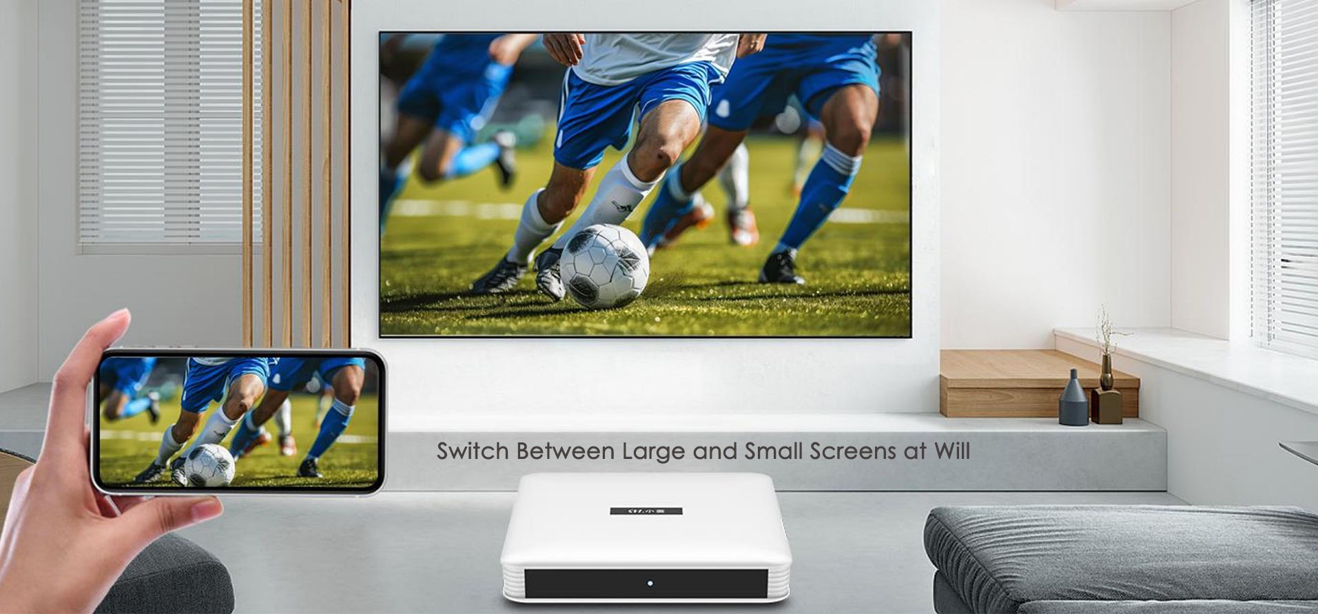 Local media playback interface on SViCloud 10S