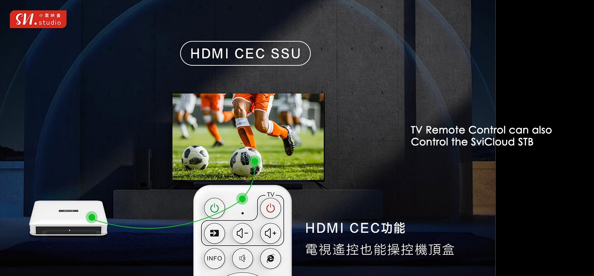 SViCloud 10S remote control shortcut buttons